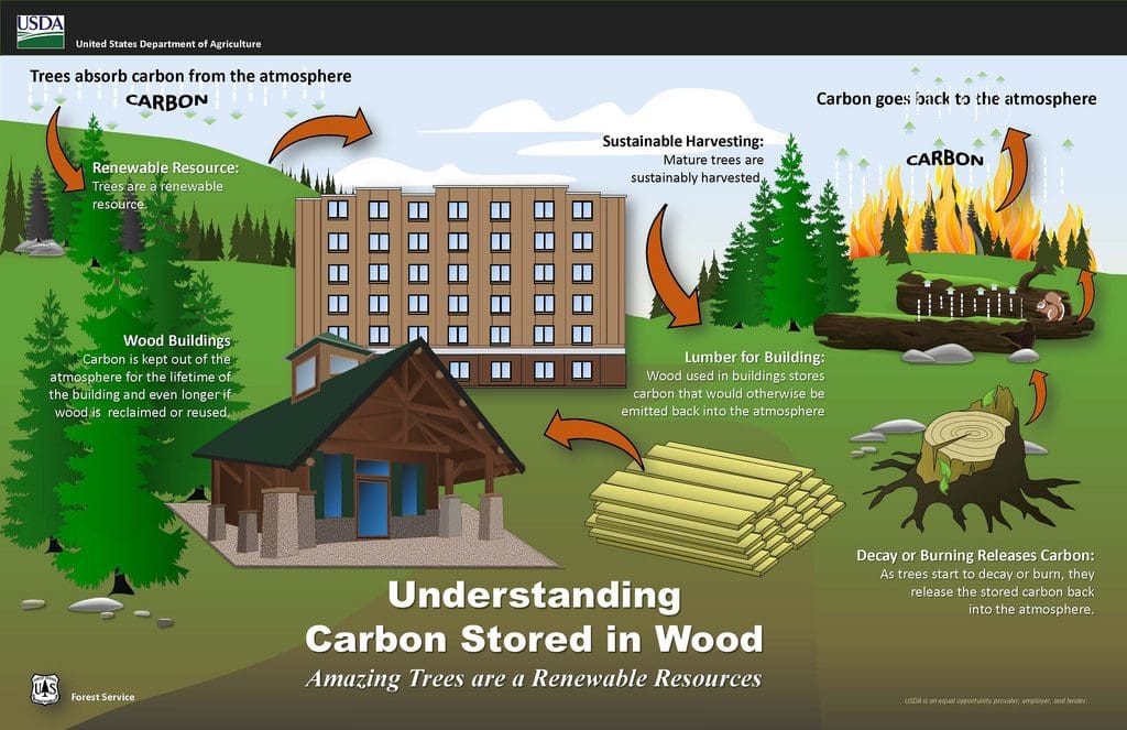 Green Buildings Log Homes and Carbon Footprint