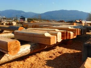 Western Red Cedar is the primary choice for custom log homes